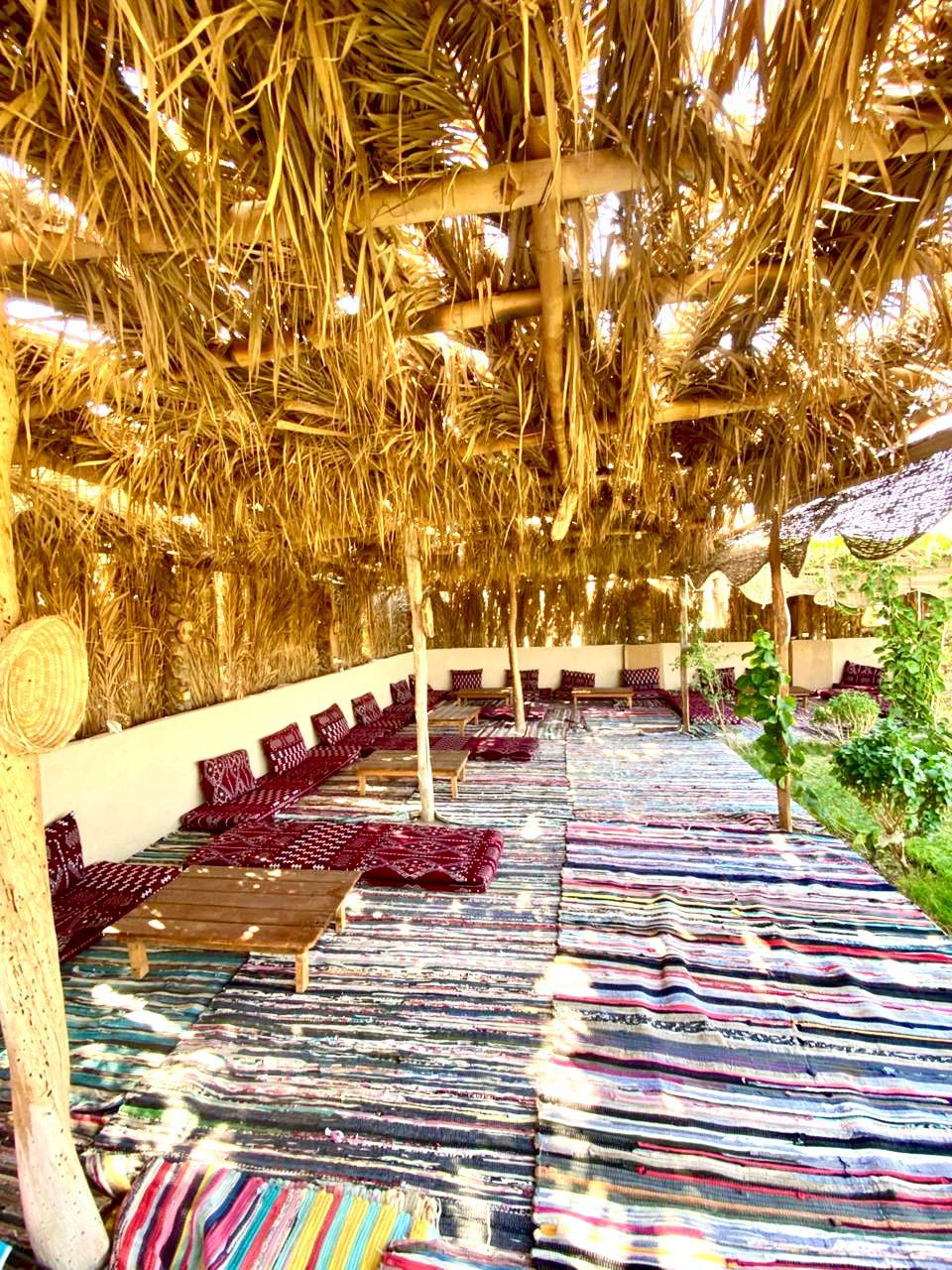 رحلة مدرسية